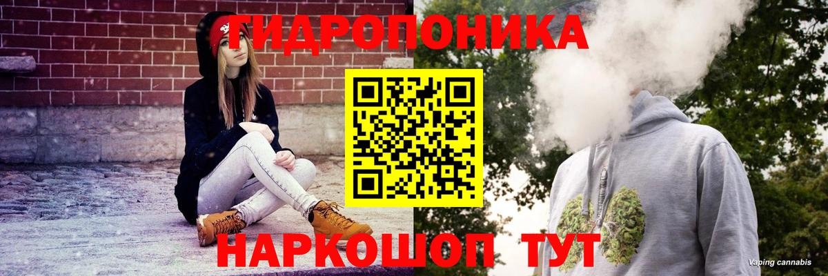 Бошки Шишки конопля Алейск