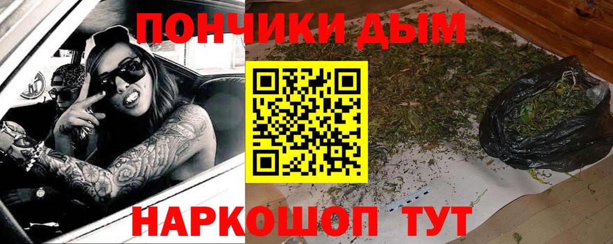 Бошки Шишки планчик  Вход с VPN  Алейск  Шишки марихуана Amnesia 